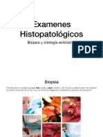 Examenes Histopatologicos
