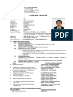 140392835-Curriculum-Ricardo-2-Hojas.doc