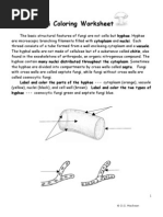 Download Fungi Coloring Worksheet by Karl Delgado SN38693937 doc pdf
