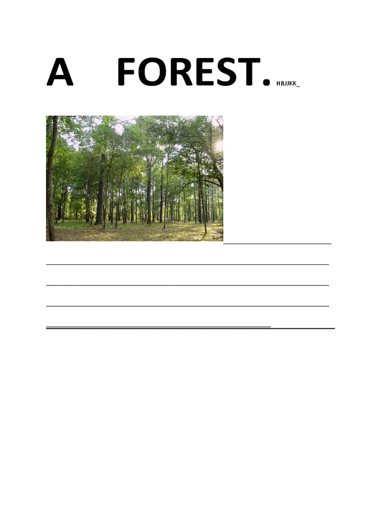 Exploring the Forest Ecosystem | PDF