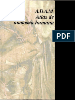 ADAM Atlas de Anatomía Humana - OLSON 1997