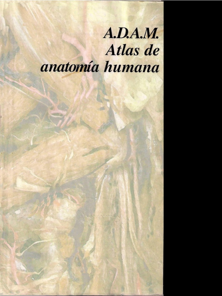 ADAM Atlas de Anatomía Humana - OLSON 1997