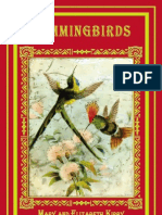 Hummingbirds Sample