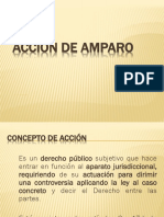 Partes y Figuras Procesales Del Amparo