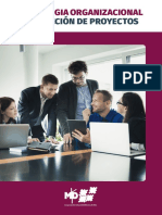 Manual Estrategia Organizacional y Dirección de Proyectos PDF