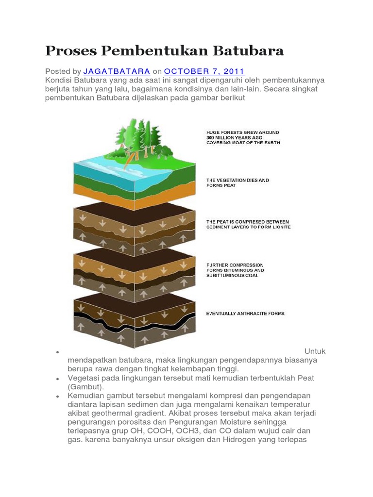 Proses Pembentukan Batubara | PDF