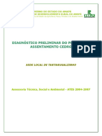 1Diagnóstico Do P. a. CEDRO 2006