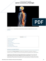 La Médula Espinal - Anatomía y Fisiología