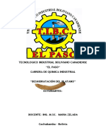 245198532-DESHIDRATACION-DEL-PLATANO.pdf