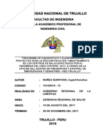 INFORME INGRID Profesionales