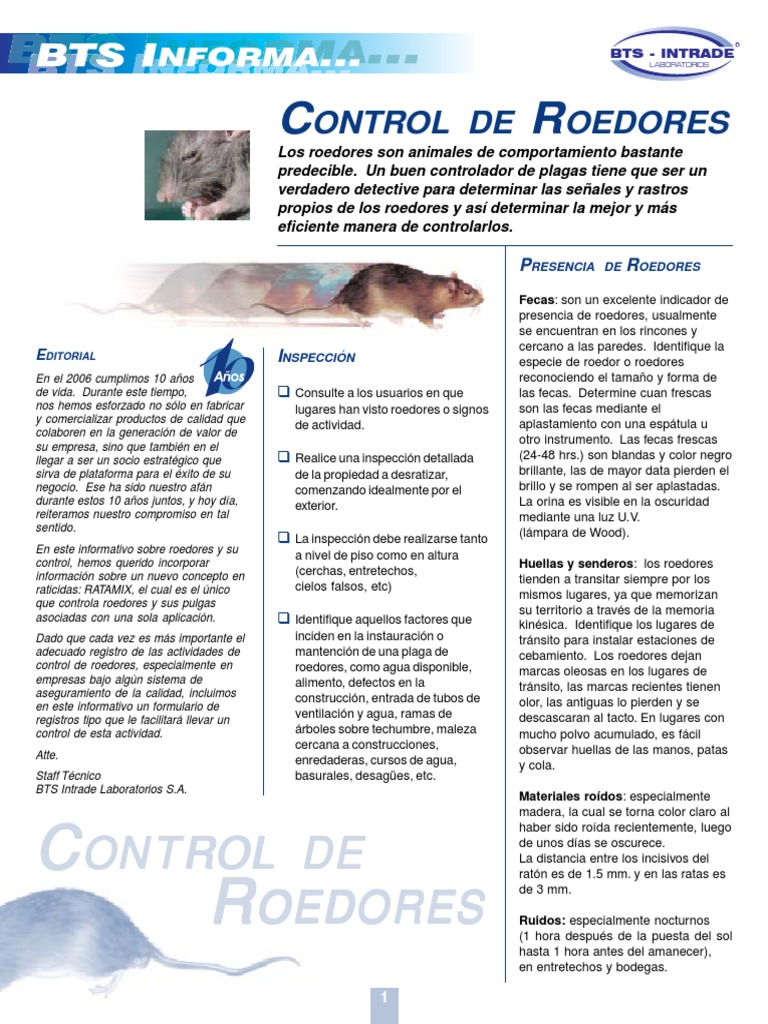 Control Eficaz de Roedores en Chile | PDF | Rata | Roedor
