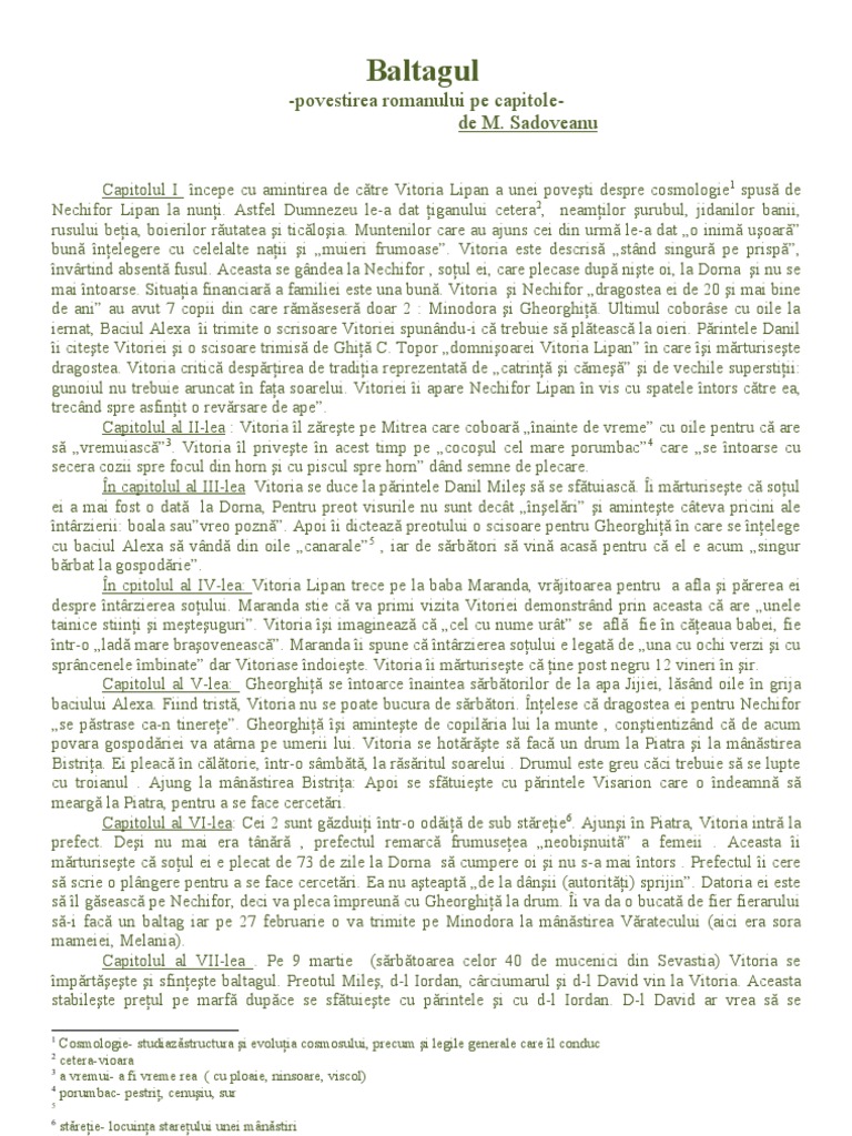 Baltagul - Povestire Pe Capitole