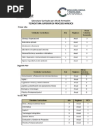Estructura Curricular Por Año de Formación Procesos Mineros PDF
