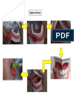 Higiene de Boca