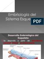 embriologiadeldesarrollodelesqueleto-110917111905-phpapp01.pdf