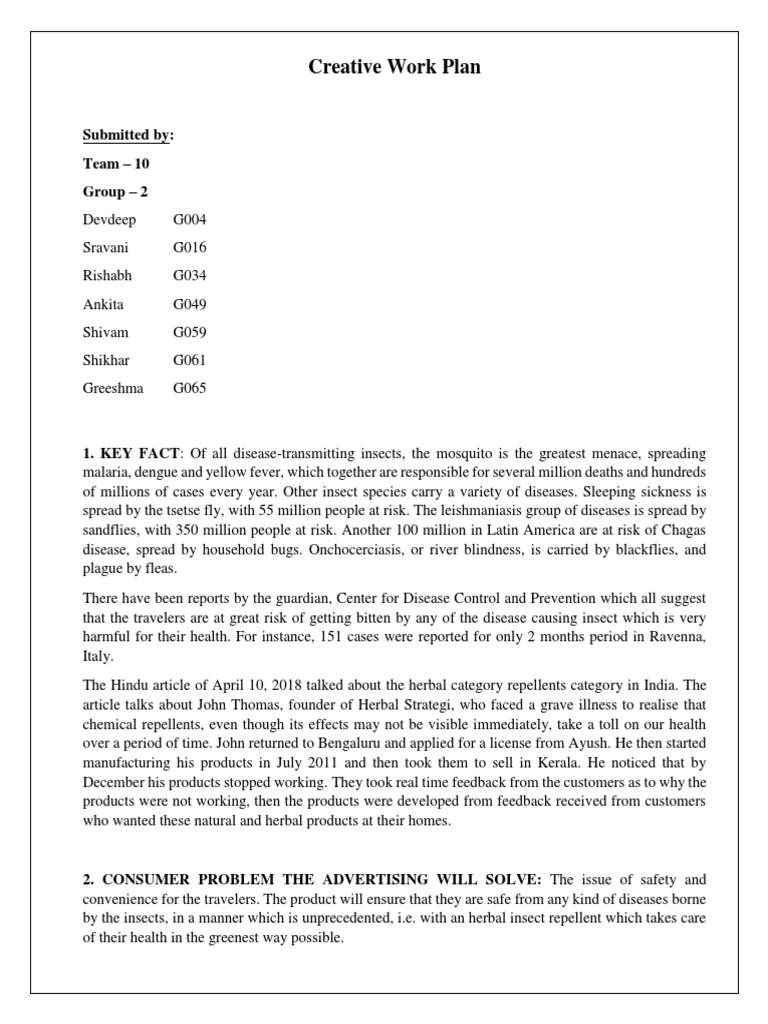 Creative Work Plan: Submitted By: Team - 10 Group - 2 | PDF | Target ...