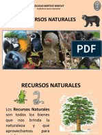 recursosnaturales-111116182348-phpapp02