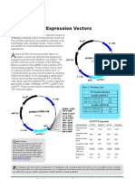 FP Fusion mTFP1