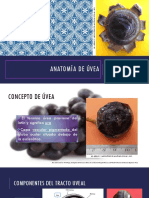 Anatomia uvea.agosto2018.MR2.Flor.Arenas.INO.pdf