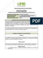 Plan de Trabajo para Horas de Desarrollo de Proyectos