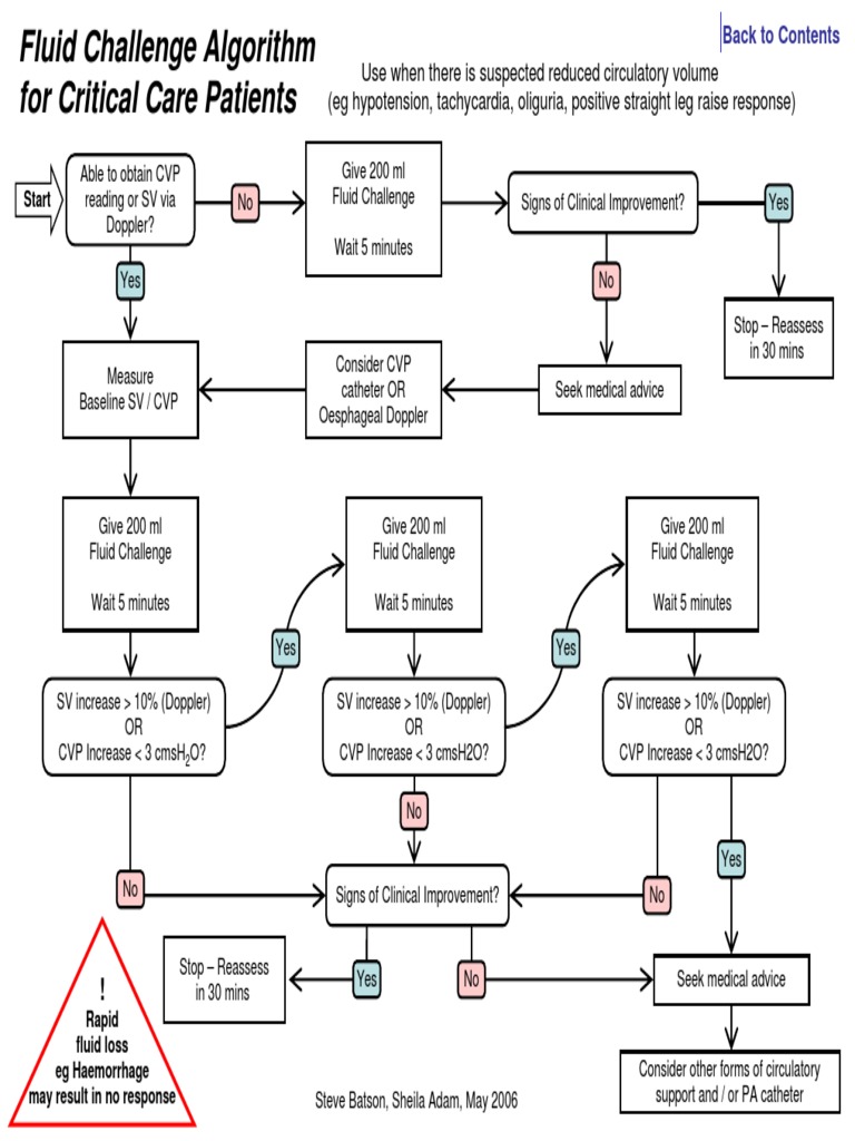 Fluid Challenge Algorithm 2006 PDF Cardiovascular System Health Sciences