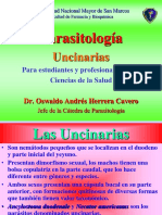 D. Uncinarias