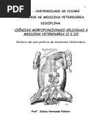 Apostila Morfo II Iii1