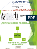 Presentacion Cultura y Clima Organizacional