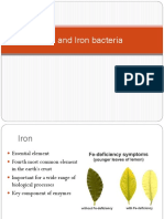Iron and Iron Bacteria