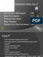 Kelompok 4 Ekskresi Kulit