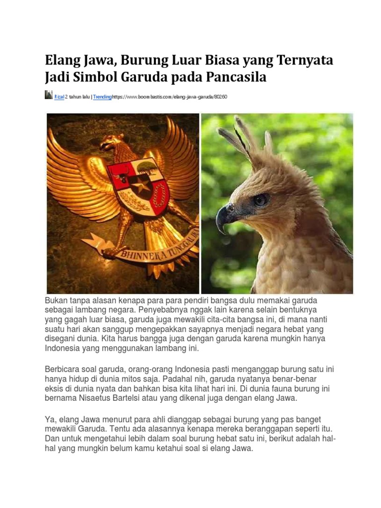 Elang Jawa Docx