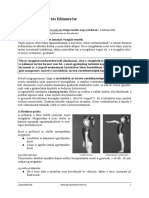 ramocsa-teszt.pdf