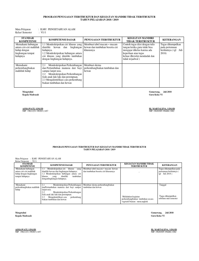 Contoh Tugas Terstruktur Sd Kelas 6 Rismax