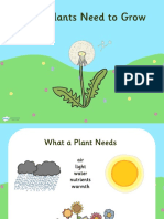T2 S 230 What Plants Need To Grow Powerpoint