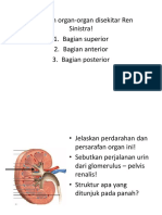 Soal Urinari