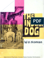 The Indian Dog WV Soman Watermarked