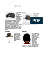 Tipuri de Pălării