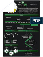 CV Modelo 2