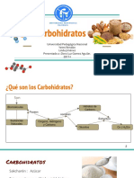 Carbohidratos Presentacion