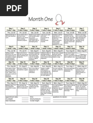 Printable Pregnancy Calendar