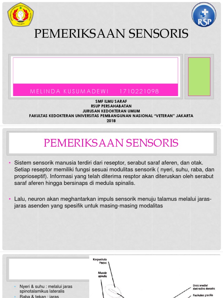Panduan Pemeriksaan Sensoris Medis | PDF