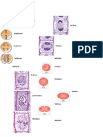 Biolog I