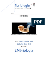 Roteiro Teorico Pratico PDF