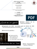 Estructura y Función de Los Genes Genoma