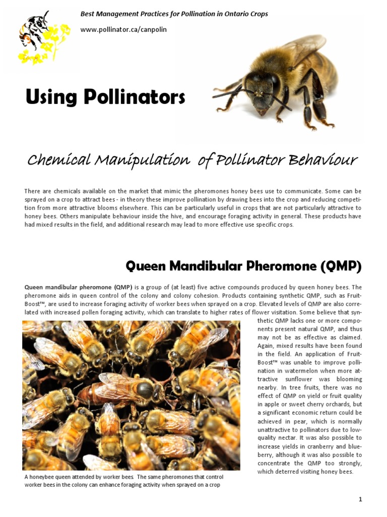PDF - Pollinator Use - Chemical Manipulation PDF | PDF | Bees | Honey Bee