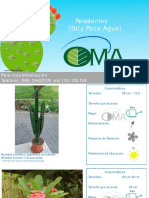 Catálogo Plantas Decorativas