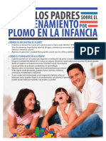 Envenenamiento Plomo