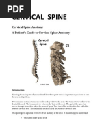 Download Cervical Spine by veravero SN38709166 doc pdf