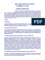 07._MODELO_DE_ADAPTACION_CURRICULAR_Modelo_simplificado_.doc