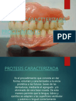 Protesis Caracterizacion